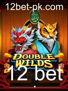 Explorando o Fascinante Mundo de DoubleWilds: Um Guia Completo